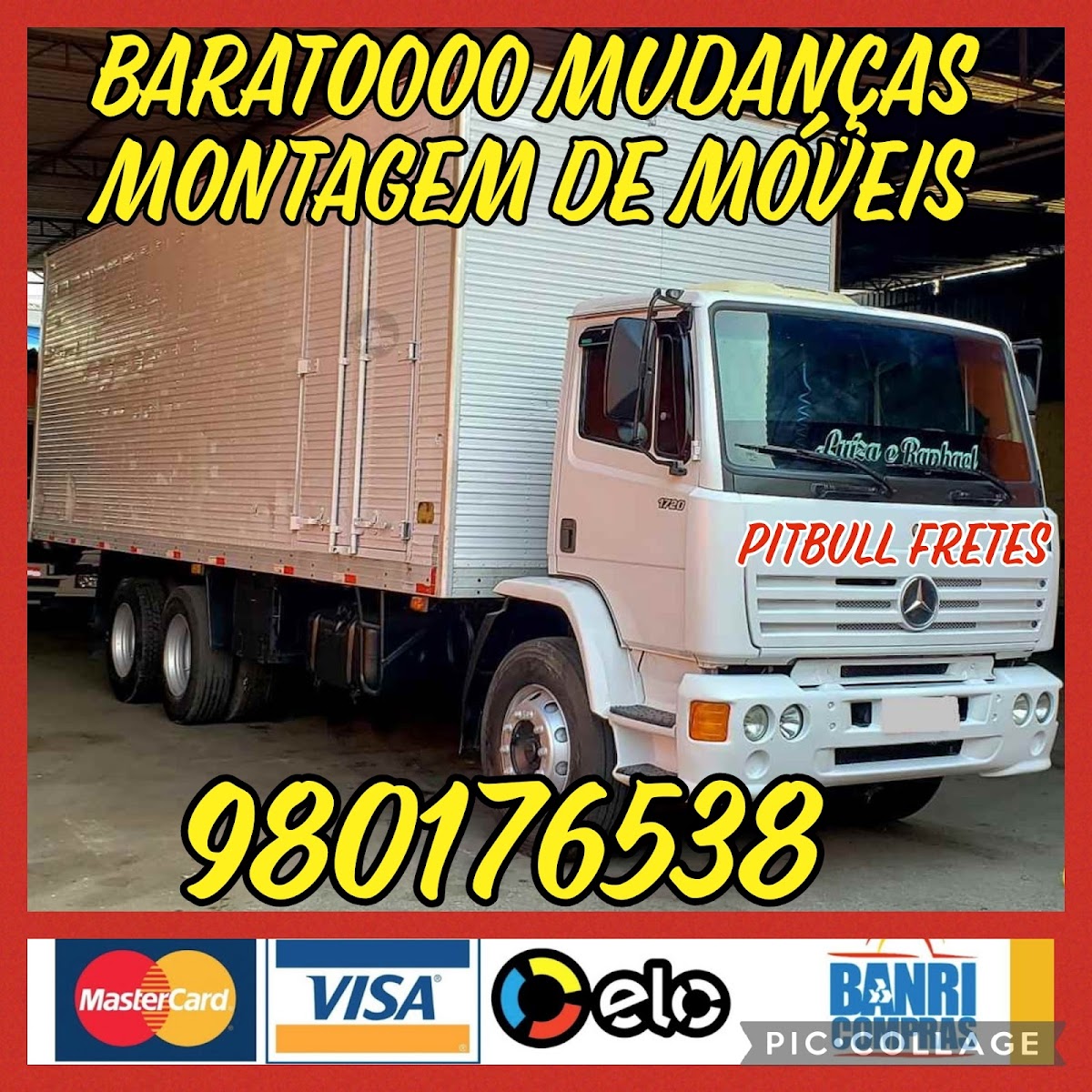 Mudanças, fretes e carretos Pit Bull - Foto 1