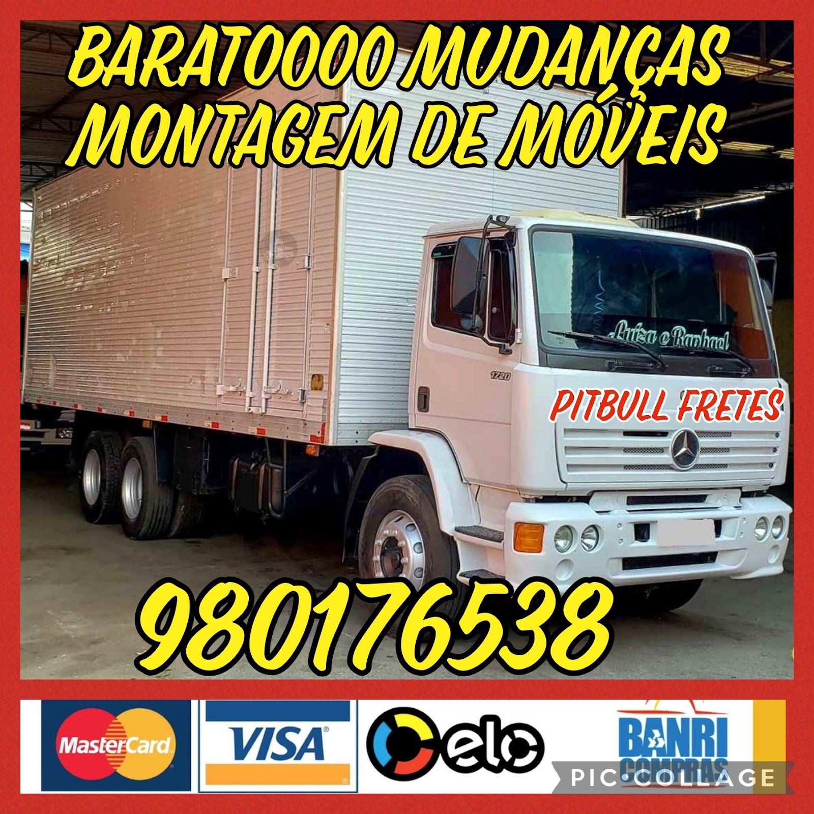 Mudanças, fretes e carretos Pit Bull